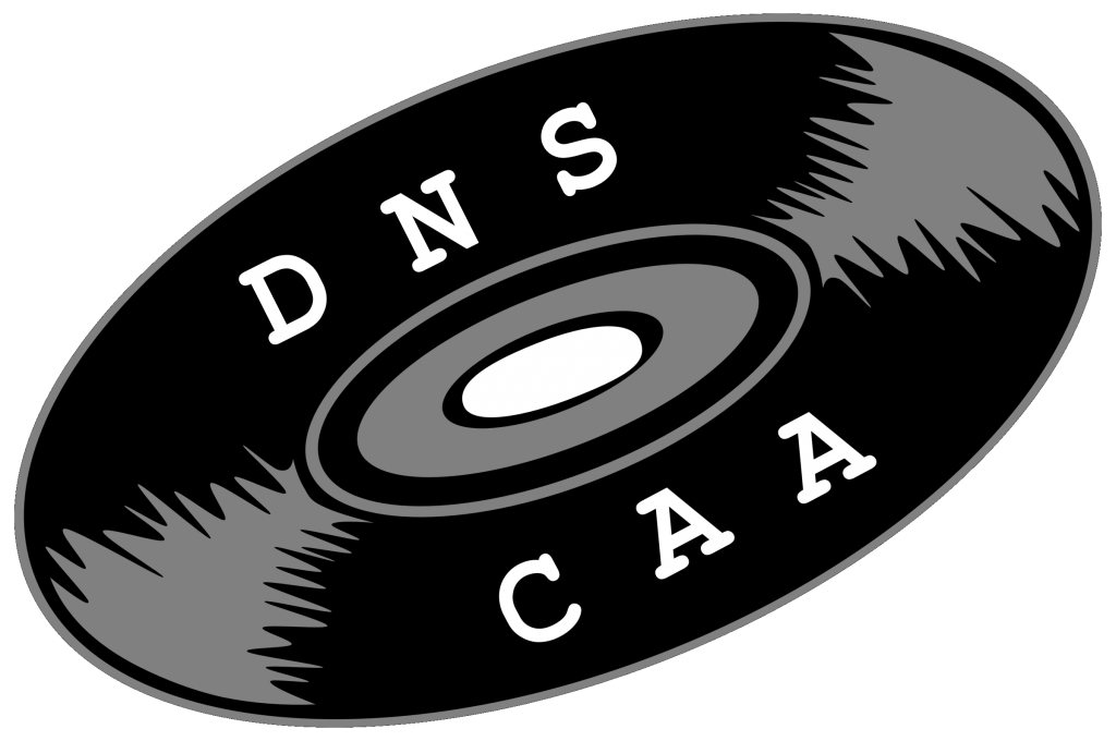 dns caa record