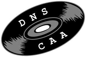 dns caa record